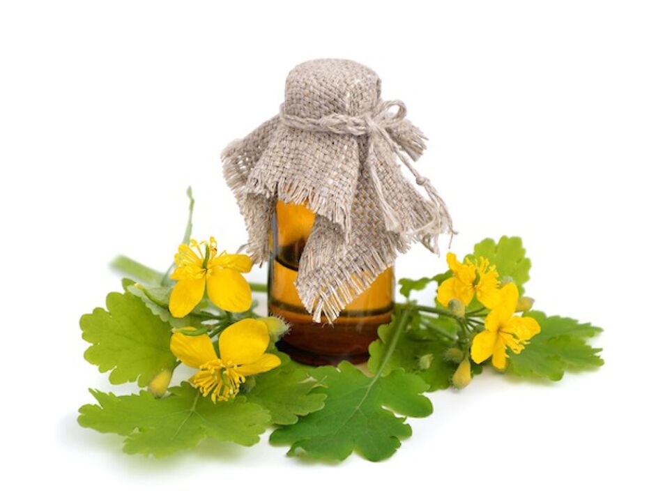 infuso di celidonia per funghi ai piedi